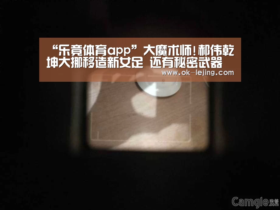 乐竟体育app