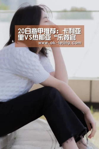 乐竟平台
