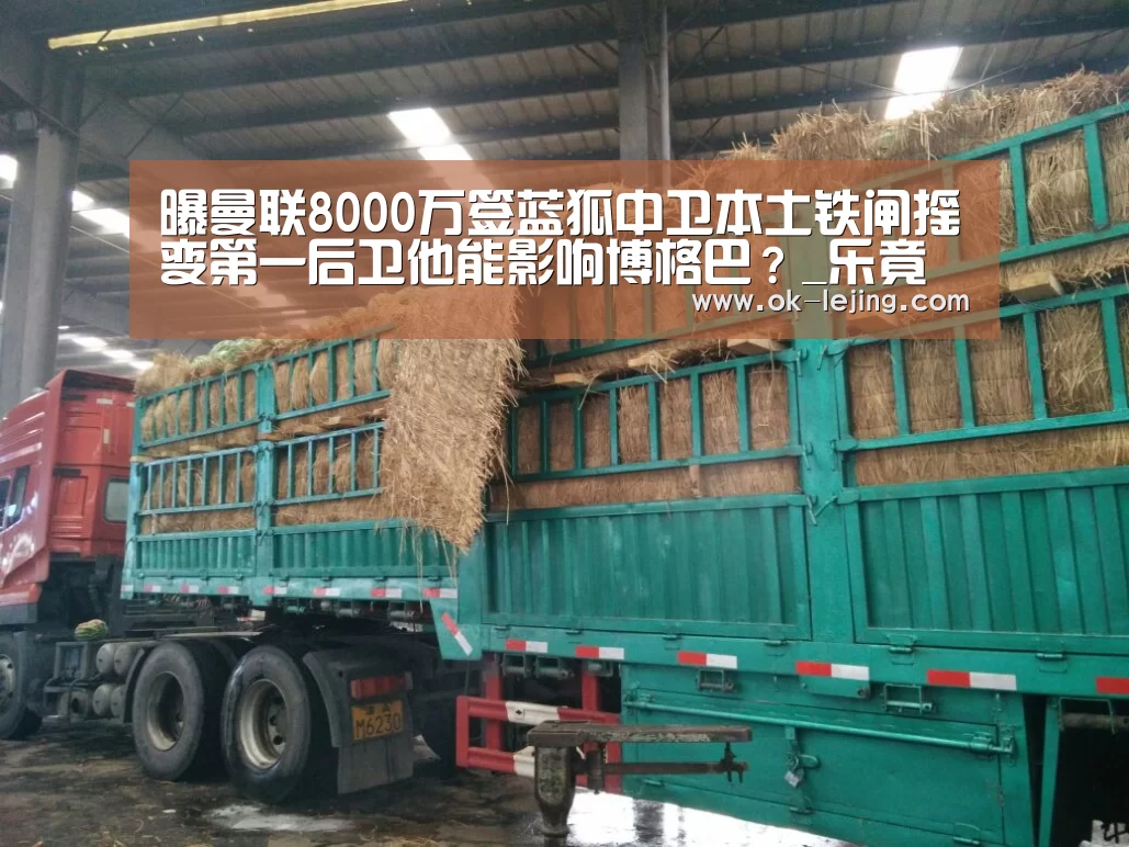 曝曼联8000万签蓝狐中卫本土铁闸摇变第一后卫他能影响博格巴?_乐竟体育app(图2) 乐竟体育app