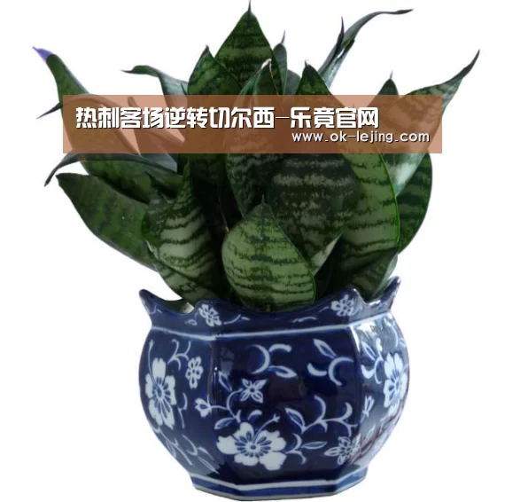 热刺客场逆转切尔西-乐竟官网(图1) 乐竟平台